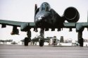 A-10_08.jpg